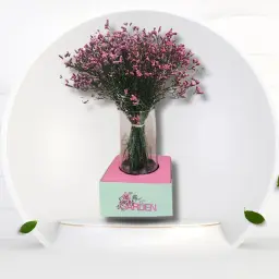 Vase in A Box